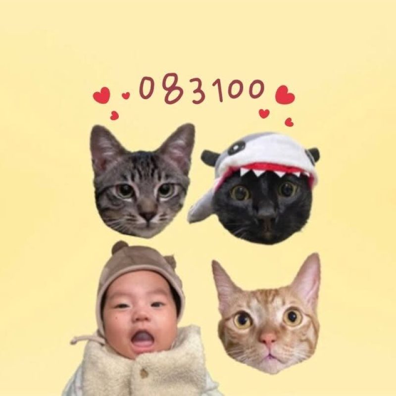 432450719_372434625775324_1571957034827121649_n