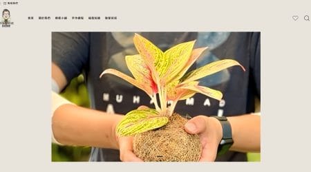 那個叔叔療癒手作