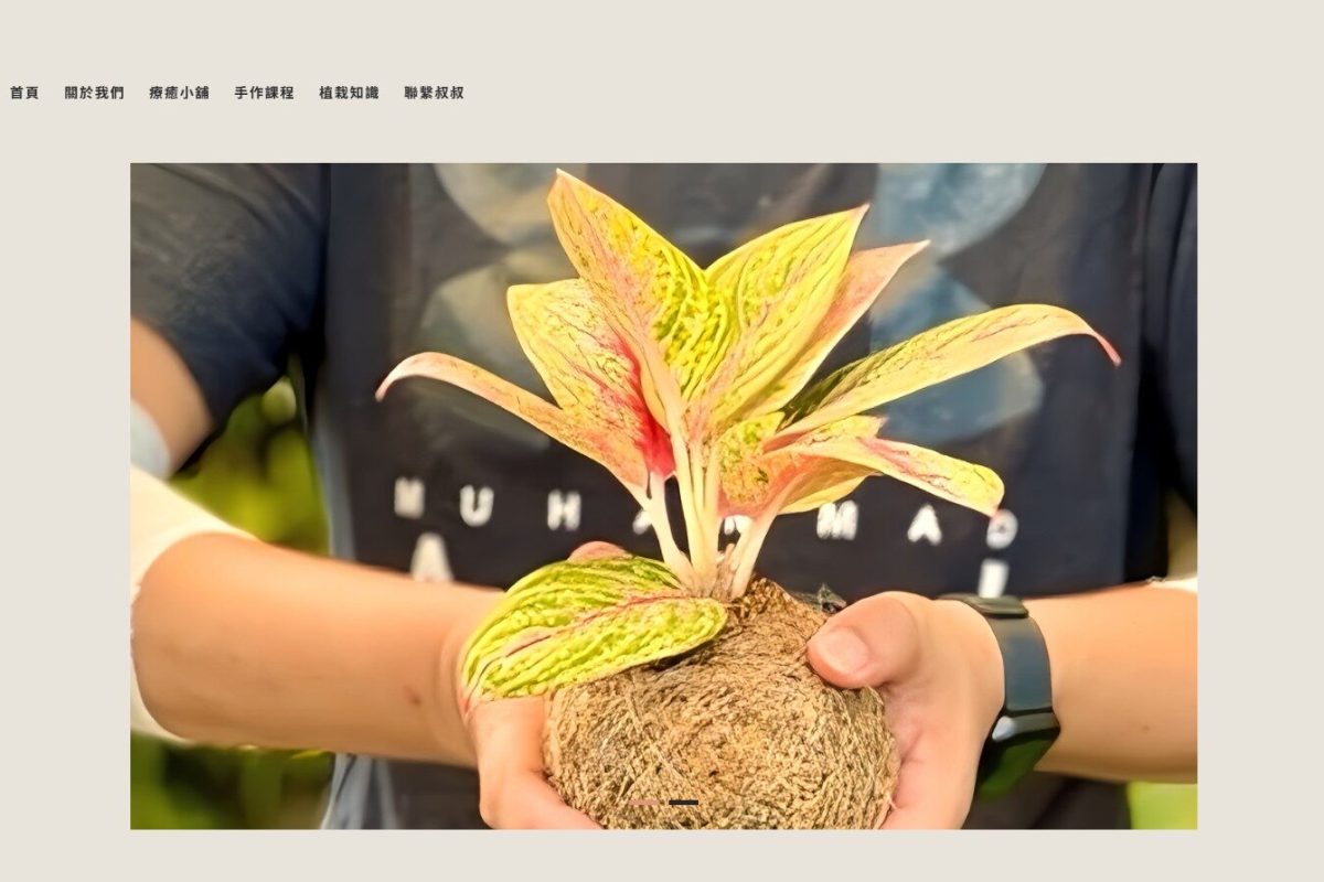 那個叔叔療癒手作